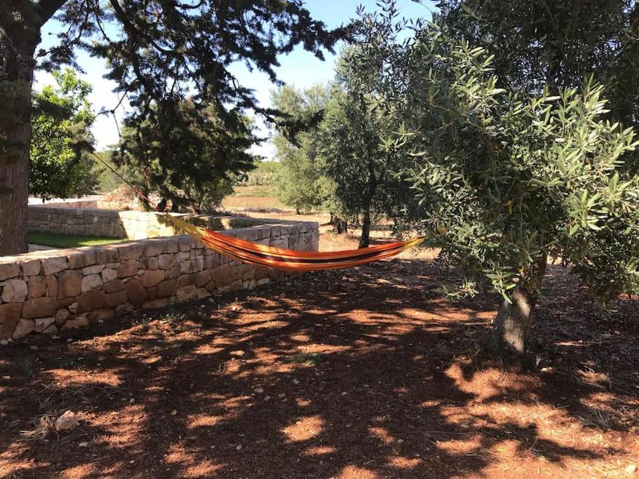 Villa Dominique Carovigno Extérieur photo