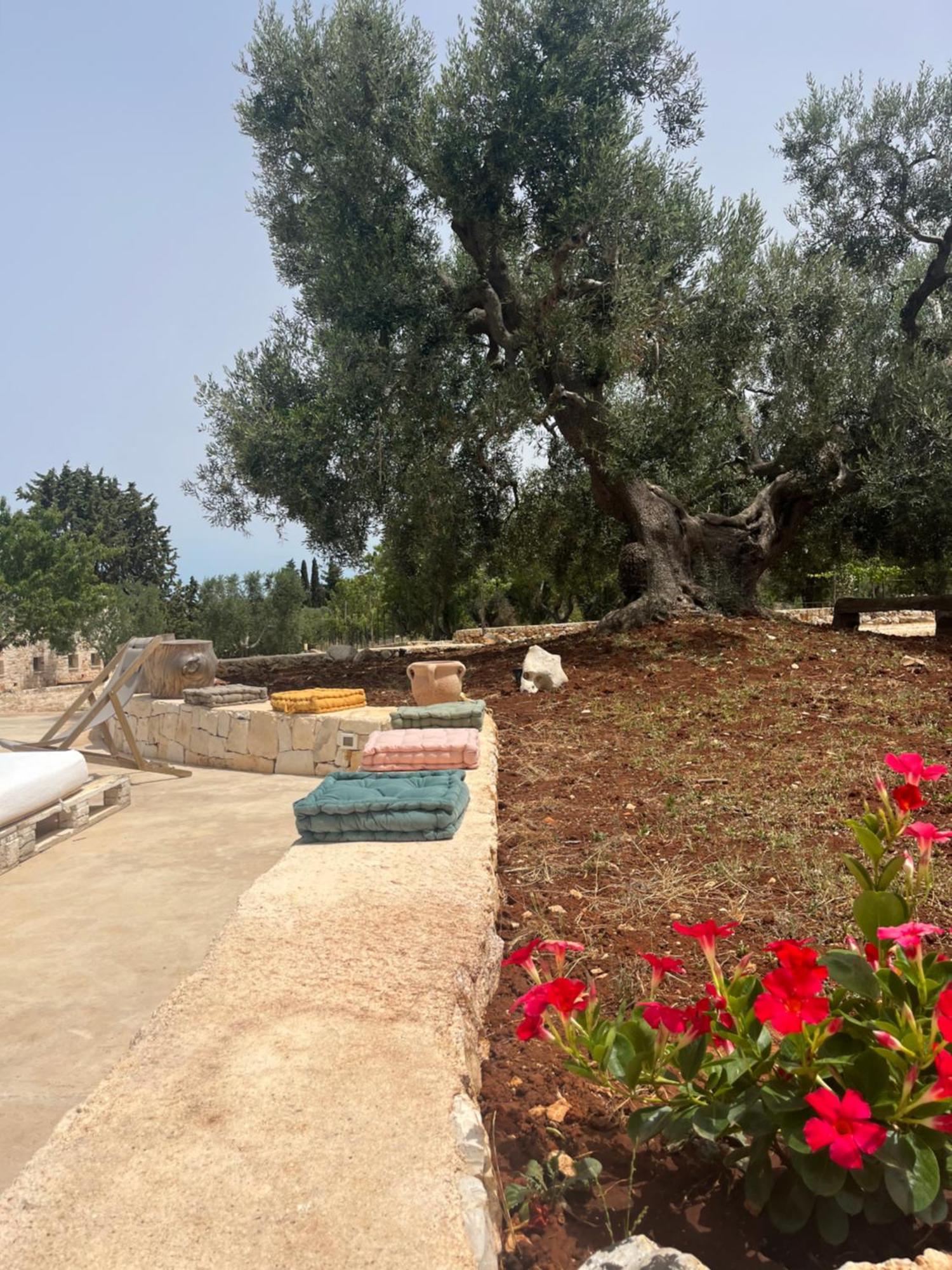 Villa Dominique Carovigno Extérieur photo